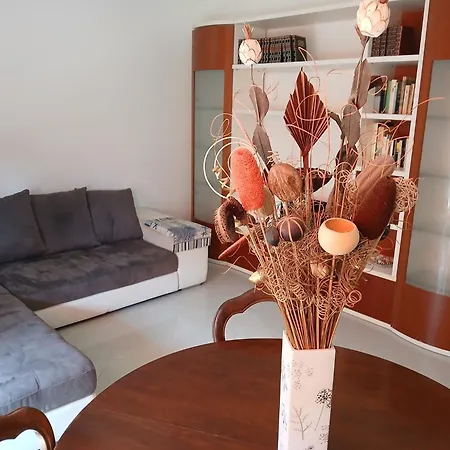 La Casa Del Borea Casa de Férias *